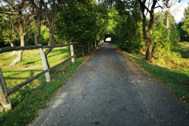 АгроЭкоусадьба "Селяхи"